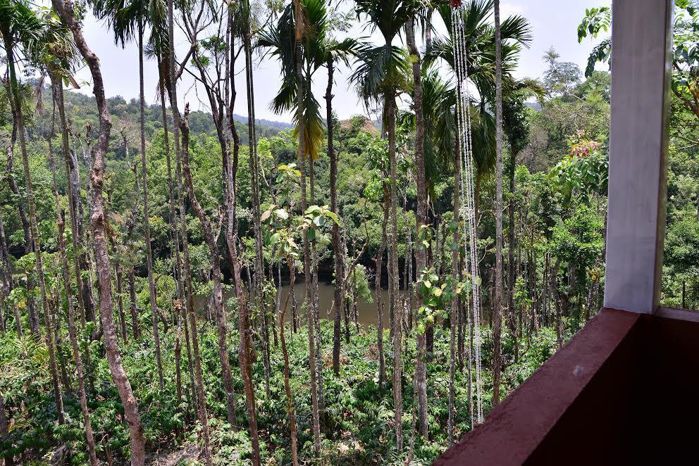 River Near Coorg Jambur Екстер'єр фото