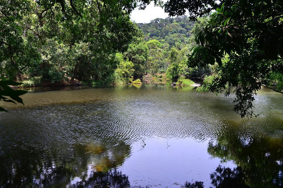River Near Coorg Jambur Екстер'єр фото